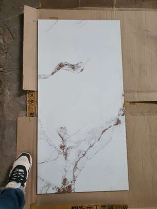 Carreaux 120X60 image 4