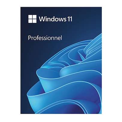 LICENCE MICROSOFT OFFICE 2021 PRO PLUS & WINDOWS 11 PRO image 2