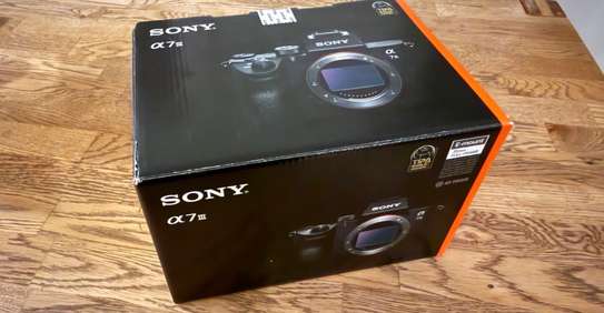 Sony a7 III image 3