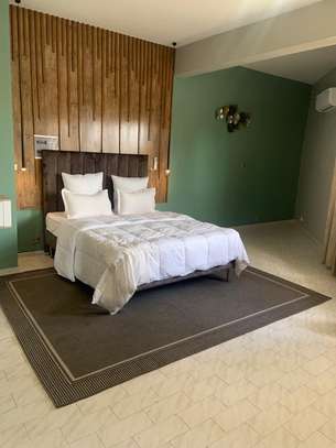 Studio Meublé à louer au Plateau image 9