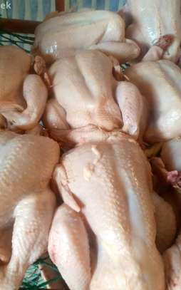 Poulet De Chair image 3