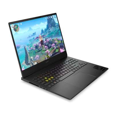Ultra Puissant Gamer HP OMEN 17 inch image 4
