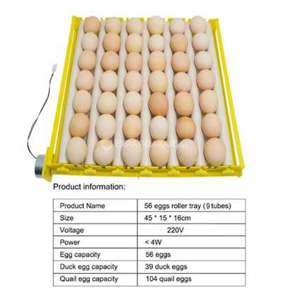 Couveuse automatique 112 œufs image 3
