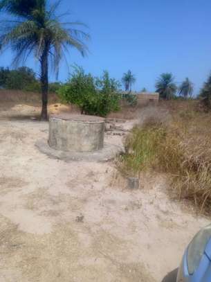A VENDE TERRAIN CAP SKIRRING  800m2 image 4
