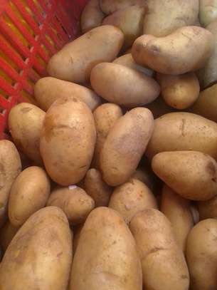 Pommes de terre image 1