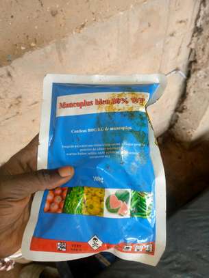 Produits agricoles image 13