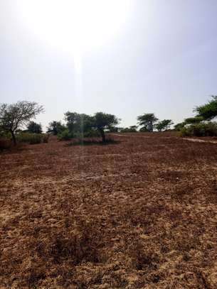 Terrains agricoles de plus de 50 hectares à vendre image 6