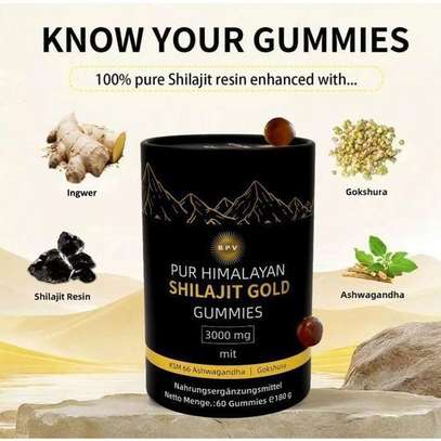 Pur Himalayan Shilajit Gold 3000 mg 60 gummies énergie image 2