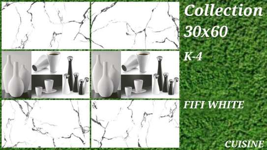 Carreaux Faïence 30X60 image 14