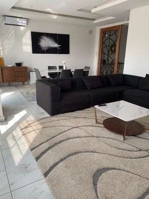 Très jolie apt F4 meublé au point E image 15