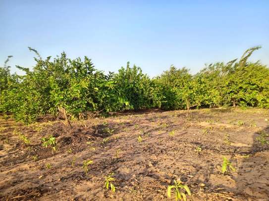 𝐕𝐞𝐫𝐠𝐞𝐫 𝐝𝐞 1 𝐡𝐞𝐜𝐭𝐚𝐫𝐞𝐬 6000m2 𝐞𝐧 𝐩𝐥𝐞𝐢𝐧𝐞 𝐩𝐫𝐨𝐝𝐮𝐜𝐭𝐢𝐨𝐧 image 11