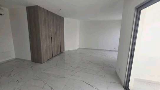 Duplex penthouse à louer image 4