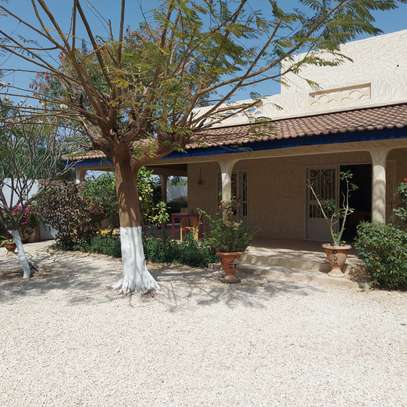 MAISON A VENDRE SOMONE EXTENSION image 3