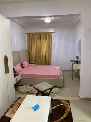 Appartement Mermoz Pyrotechnique image 4