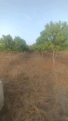 Verger 1 hectare et demi à Toubacouta -Foundioune image 5