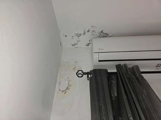 Appartement à louer image 9