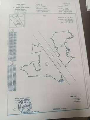 21 hectares à vendre à sindia entre Nguekhokh et Ngerigne image 15