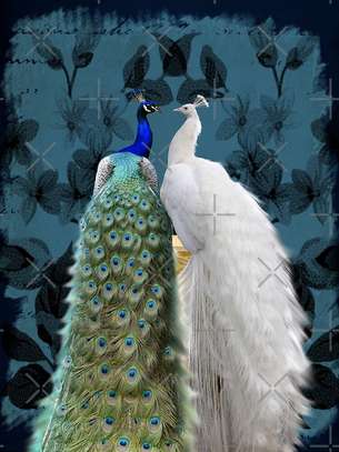 Paon bleu et blanc image 1