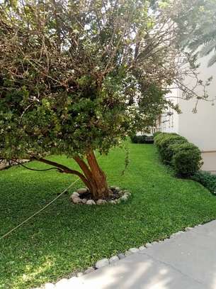 Bel appartement a vendre a Mermoz image 1