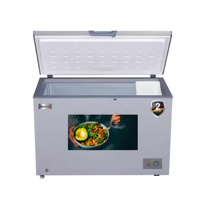 CONGÉLATEUR 550 LITRES ELACTRON SILVER image 1