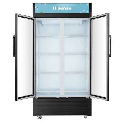 Réfrigérateur Vitrine Hisense FL81WC - 600 Litres (2 Portes) image 5