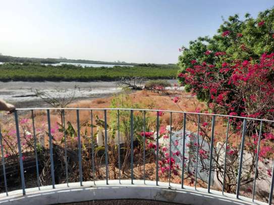 Belle villa vue sur la mangrove  à toubacouta. image 1