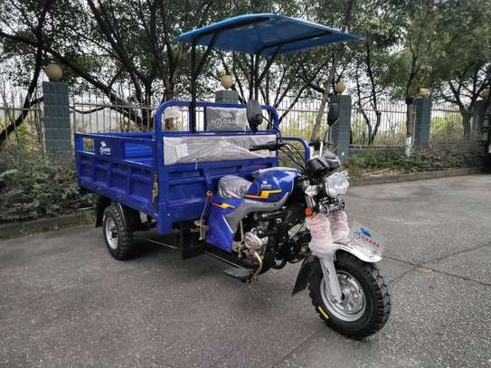 Tuktuk tuctuc image 6