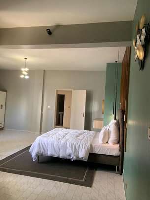 Studio Meublé à louer au Plateau image 6