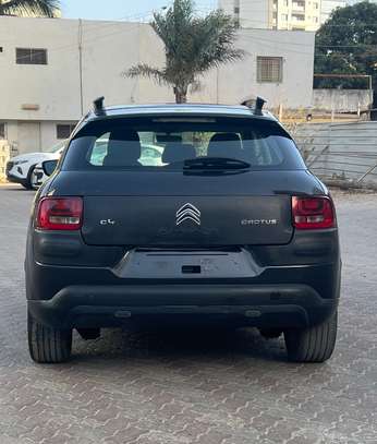 Citroën c4 cactus manuel diesel venant déjà dedouané image 10