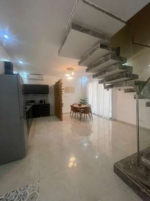 Magnifique duplex F3 meublé image 9