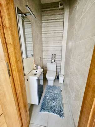 Penthouse à louer aux mamelles image 7