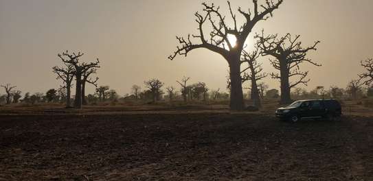 Terrain de 2 hectares à Sandiara (Ngomène) image 1