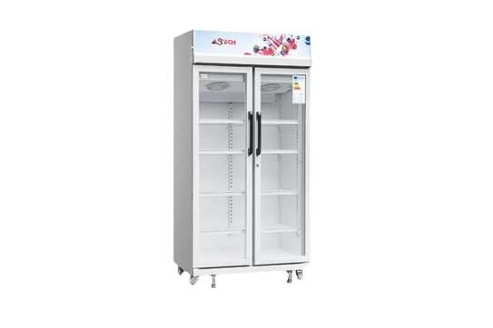 RÉFRIGÉRATEUR VITRINE ASTECH 2PORTES image 1