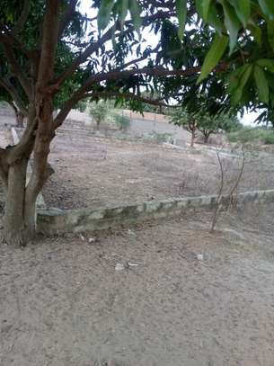 Terrain a vendre a Toubab Dialaw image 7