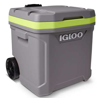 Glacière Igloo 56 litres image 1