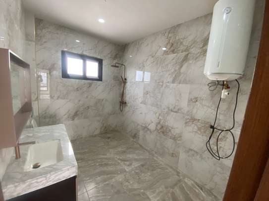 Magnifique PENTHOUSE au ALMADIES image 9