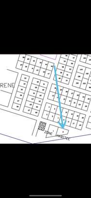 Parcelle avec construction à vendre pointe sarene image 9