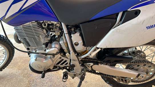 Yamaha XTRE (dem.elect) image 1