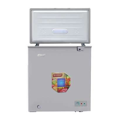 Congélateur 250litres Smart Technology Silver horizontal image 1
