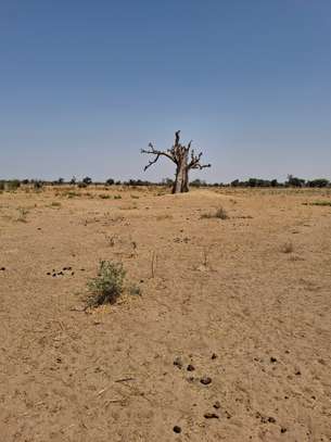 Terrain de 1 hectare à sandiara (mbour) image 2