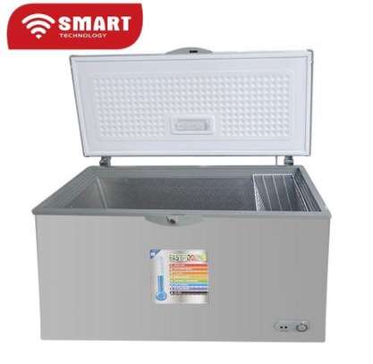 CONGELATEUR SMART TECHNOLOGY HORIZONTAL 300LITRES SILVER image 2