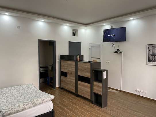 Studio meublé à louer au Front de terre image 6