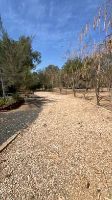 VILLA SUR TERRAIN 8700M2 KEUR YOUNGAR image 6