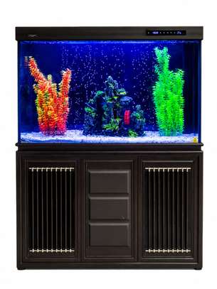 Aquarium image 2
