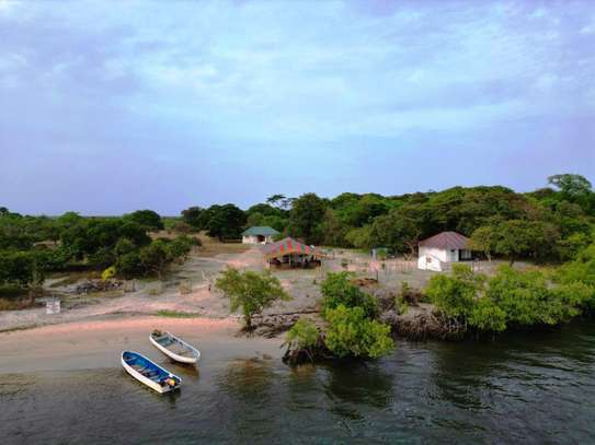 Campement Karaume - Île de Djissor image 2