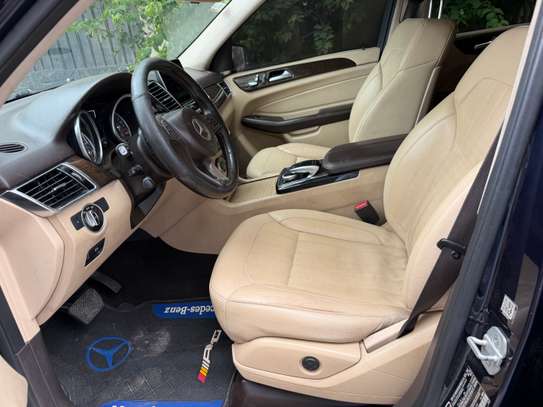 GLE image 5