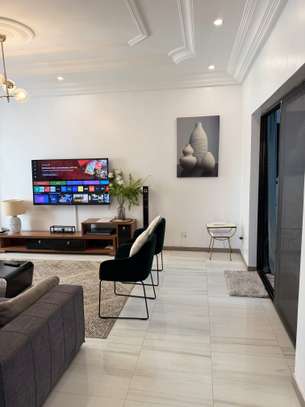 Appartement 3 chambres salon image 15