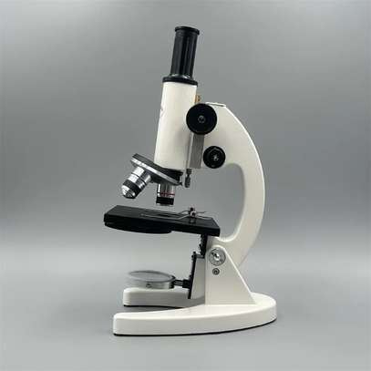Microscope image 7