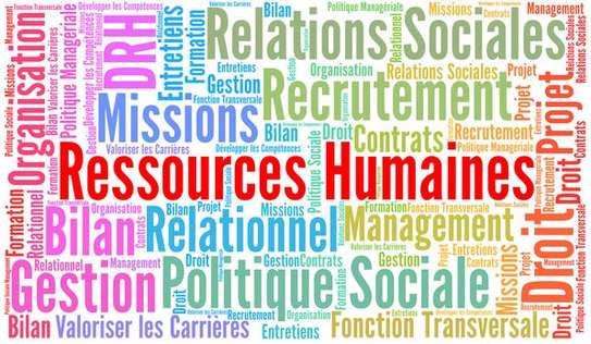 STAGE EN RESSOURCE HUMAINE image 1