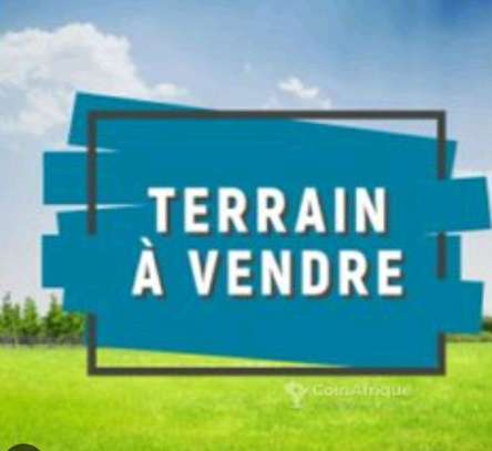 Terrains à vendre image 1